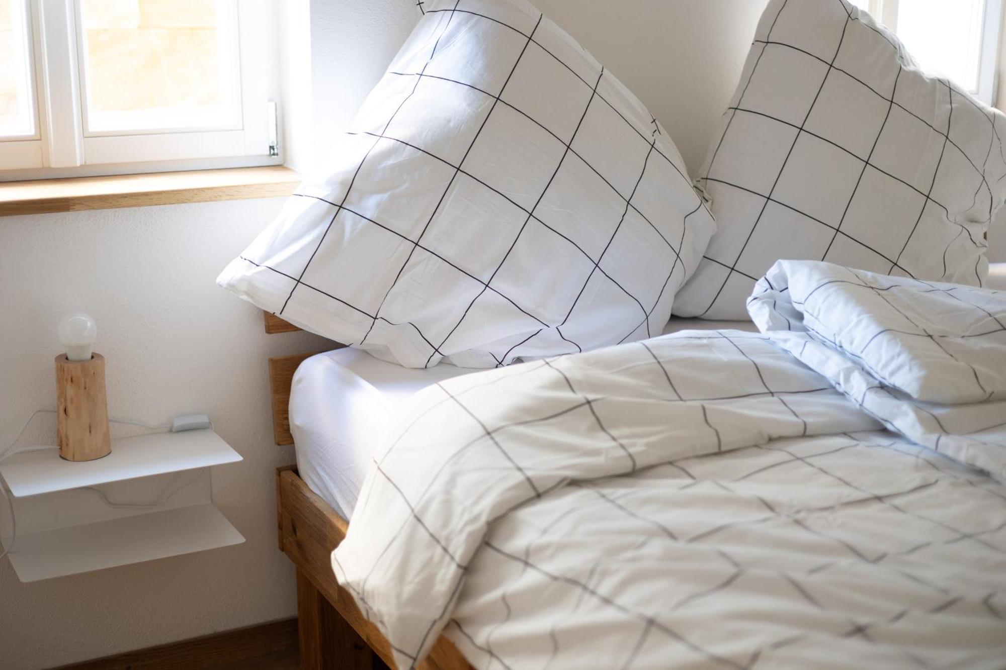 Concordia33 - Traumferienwohnung An Der Regnitz 巴姆贝格 外观 照片