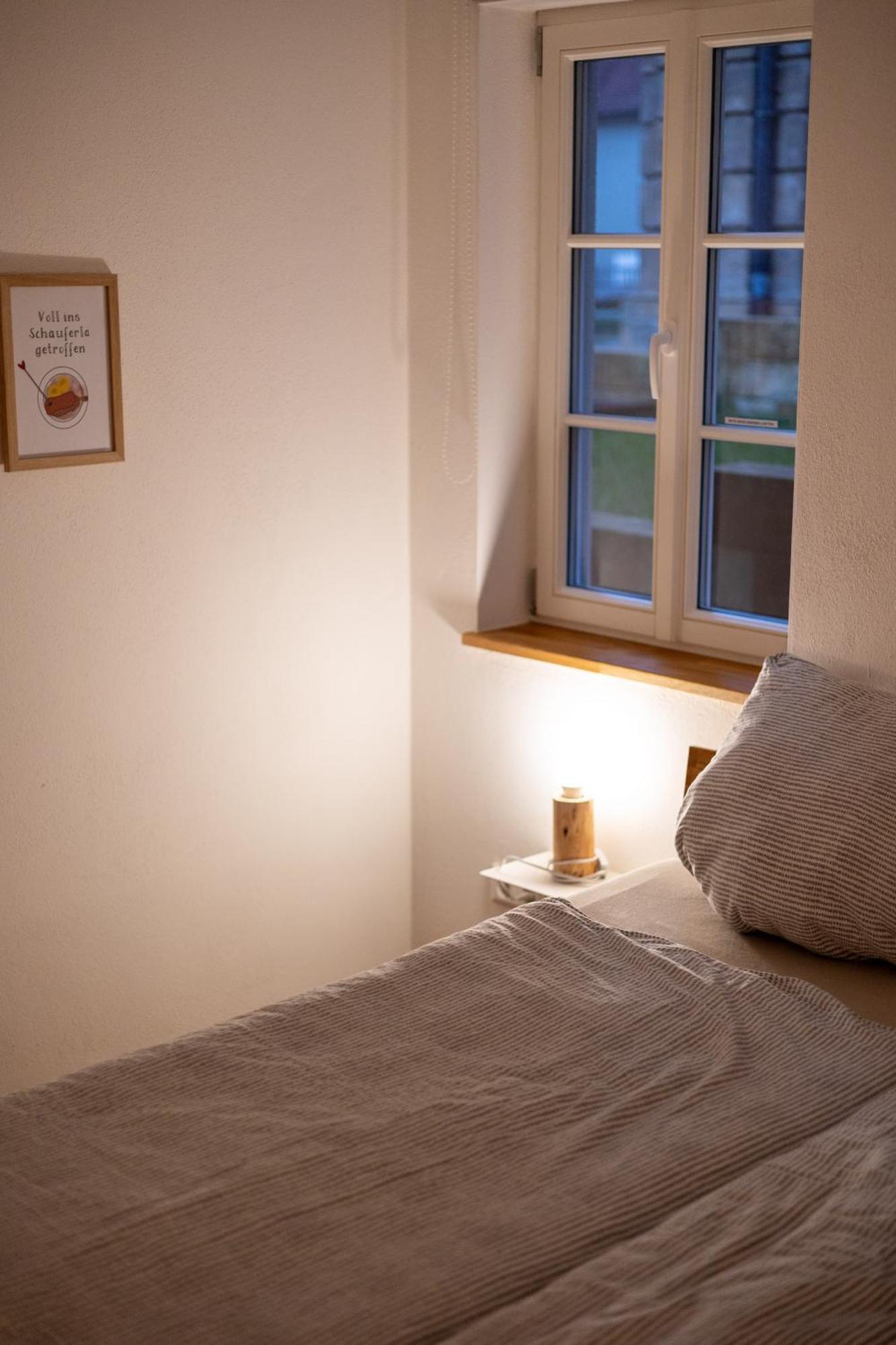 Concordia33 - Traumferienwohnung An Der Regnitz 巴姆贝格 外观 照片